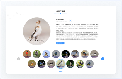 青海鳥(niǎo)類(lèi)資源庫(kù)網(wǎng)站設(shè)計(jì)、交互設(shè)計(jì)、UI設(shè)計(jì)、鳥(niǎo)類(lèi)資源庫(kù)網(wǎng)站設(shè)計(jì)、高端網(wǎng)站設(shè)計(jì)
