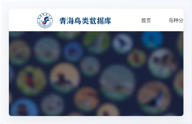 青海鳥(niǎo)類(lèi)資源庫(kù)網(wǎng)站設(shè)計(jì)、交互設(shè)計(jì)、UI設(shè)計(jì)、鳥(niǎo)類(lèi)資源庫(kù)網(wǎng)站設(shè)計(jì)、高端網(wǎng)站設(shè)計(jì)