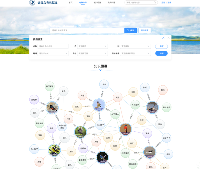 青海鳥類資源庫網(wǎng)站交互及UI設計
